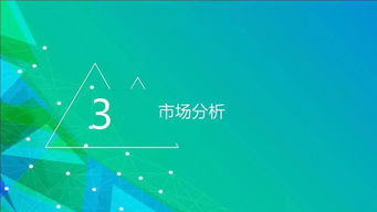 社匯news 一份廣告投放策劃完整模板